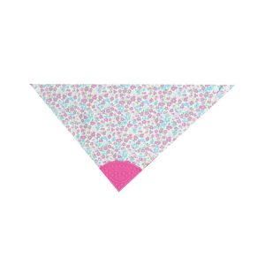 درمانش دندانگیر کودک کد 2061 بهداشت و سلامت کودک