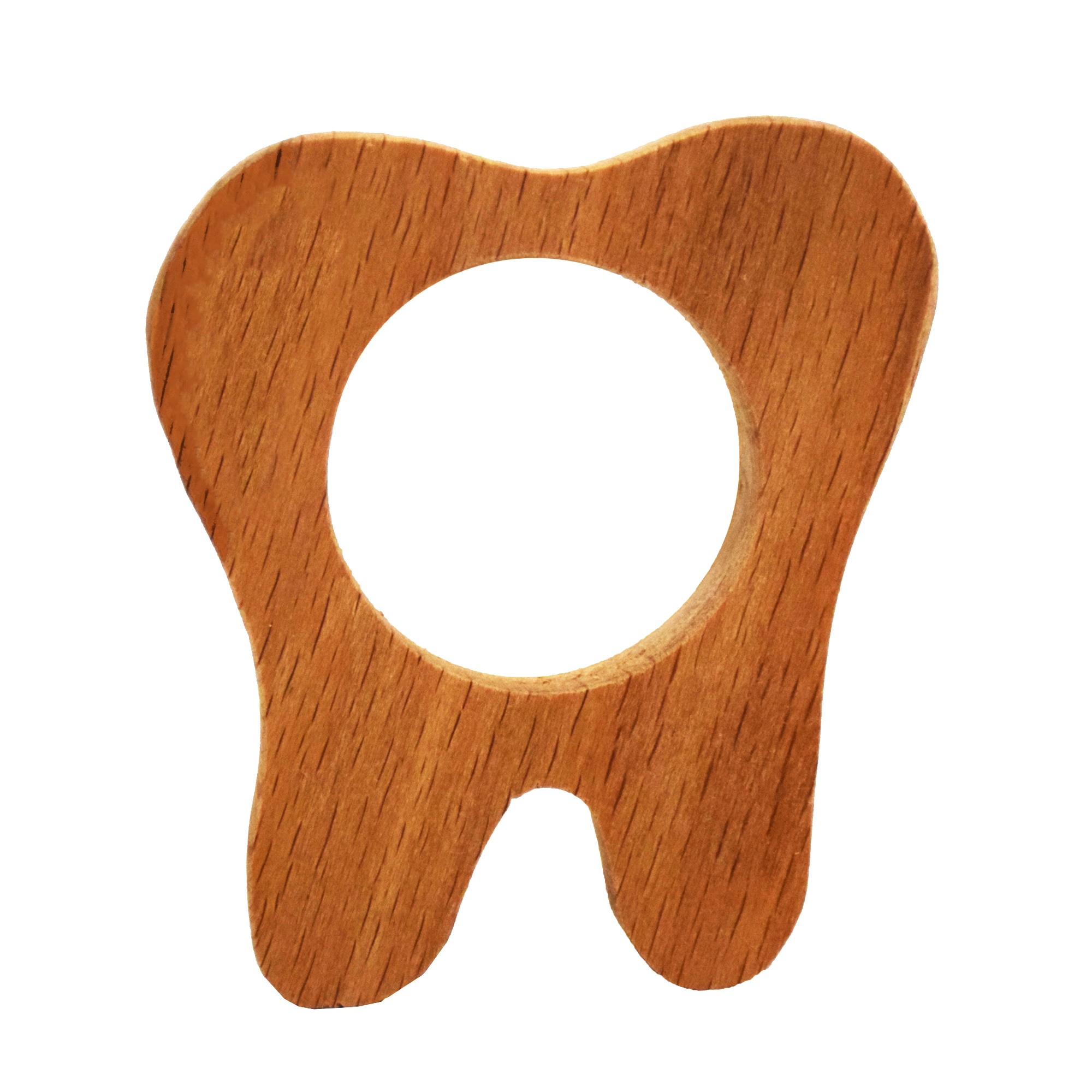 درمانش دندان گیر کودک مدل دندون کد DB7 بهداشت و سلامت کودک