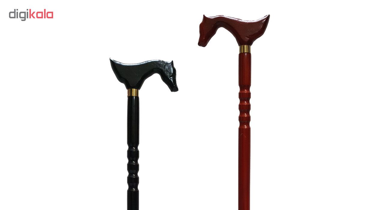 درمانش عصا طرح اسب کد VSG14 توانبخشی