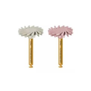 درمانش دیسک دندانپزشکی گلدن بیوتی مدل Diamond بسته 2 عددی تجهیزات دندانپزشکی