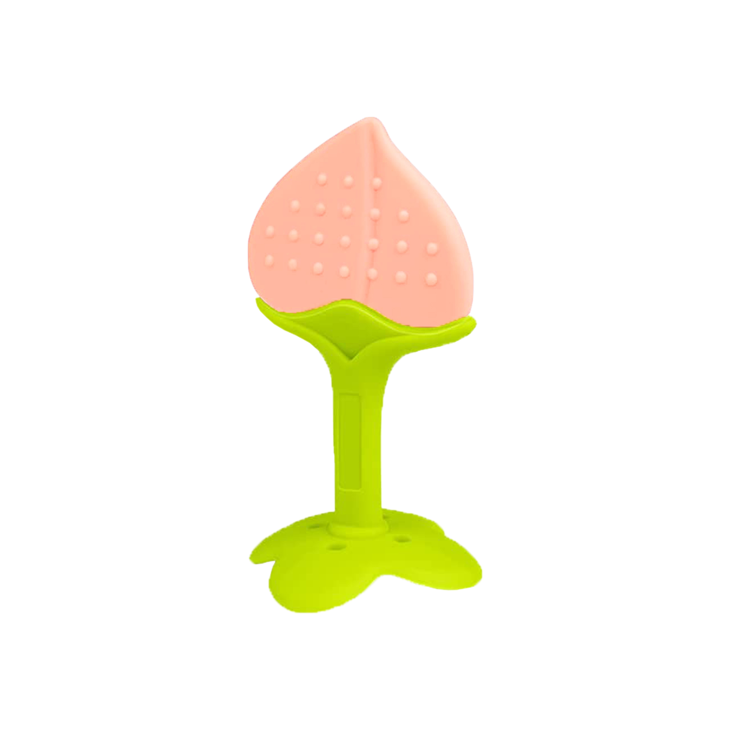 درمانش دندان گیر کودک تی تر مدل 2339.1 بهداشت و سلامت کودک